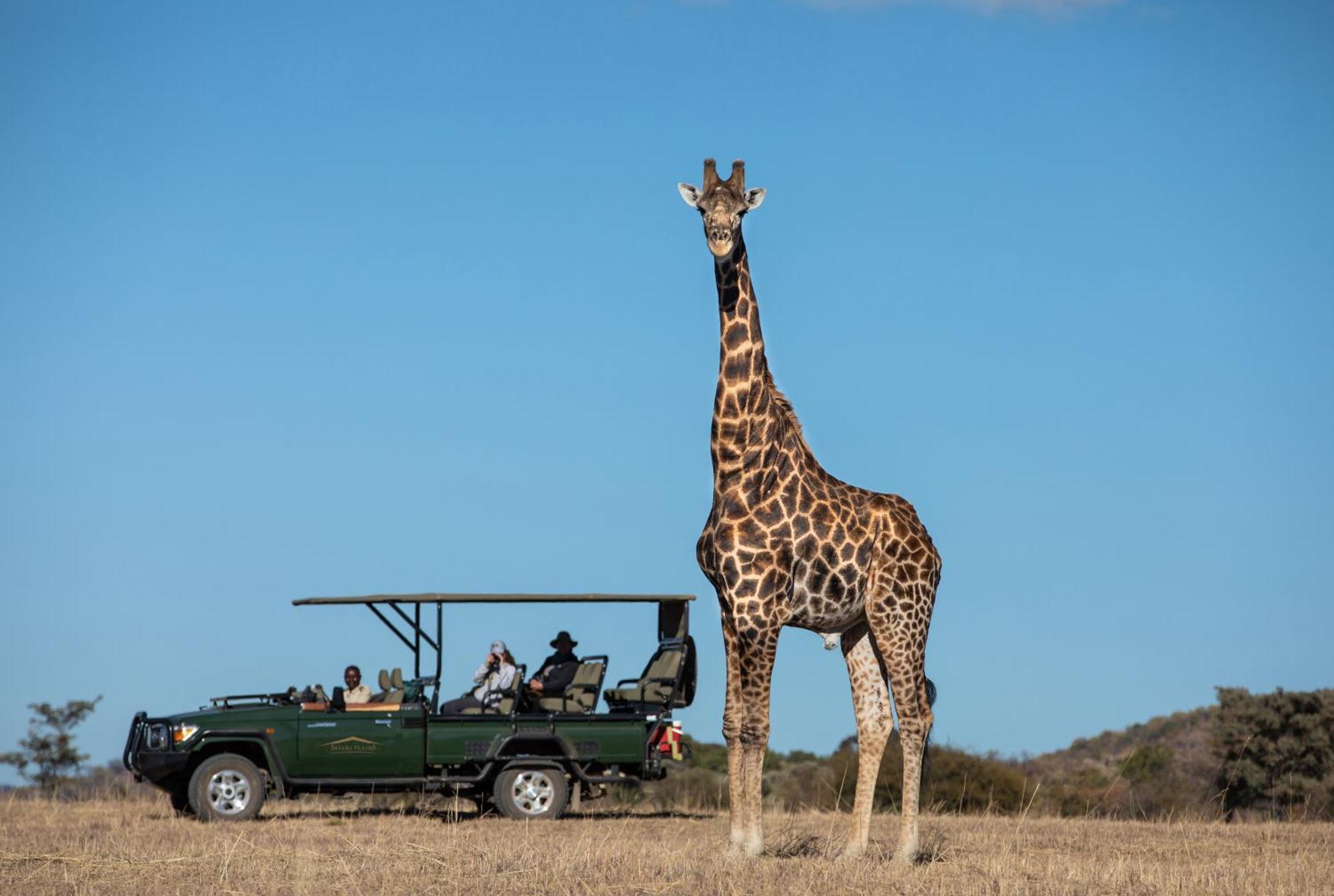 Vila Safari Plains Mabula Game Reserve Exteriér fotografie