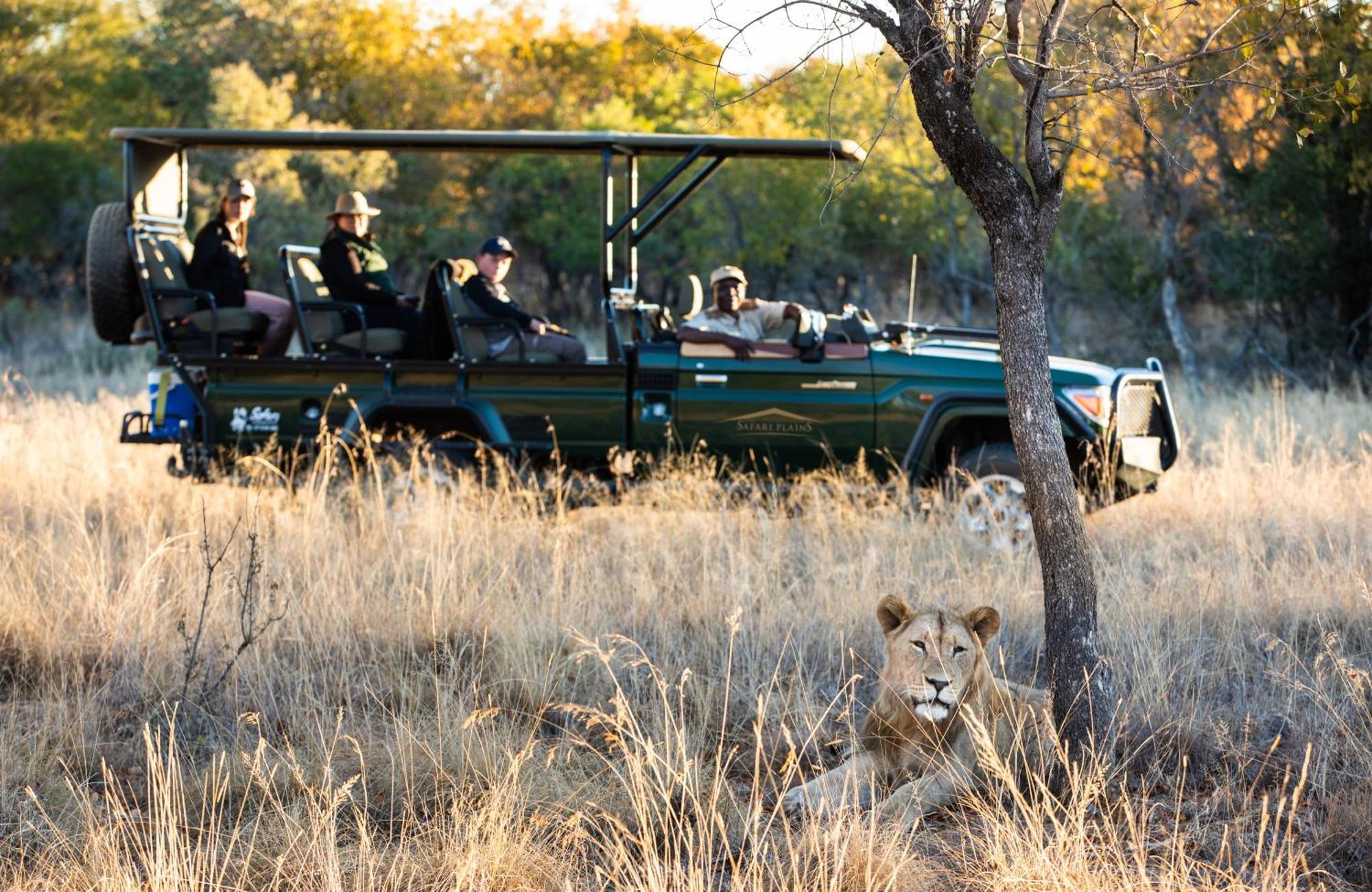 Vila Safari Plains Mabula Game Reserve Exteriér fotografie