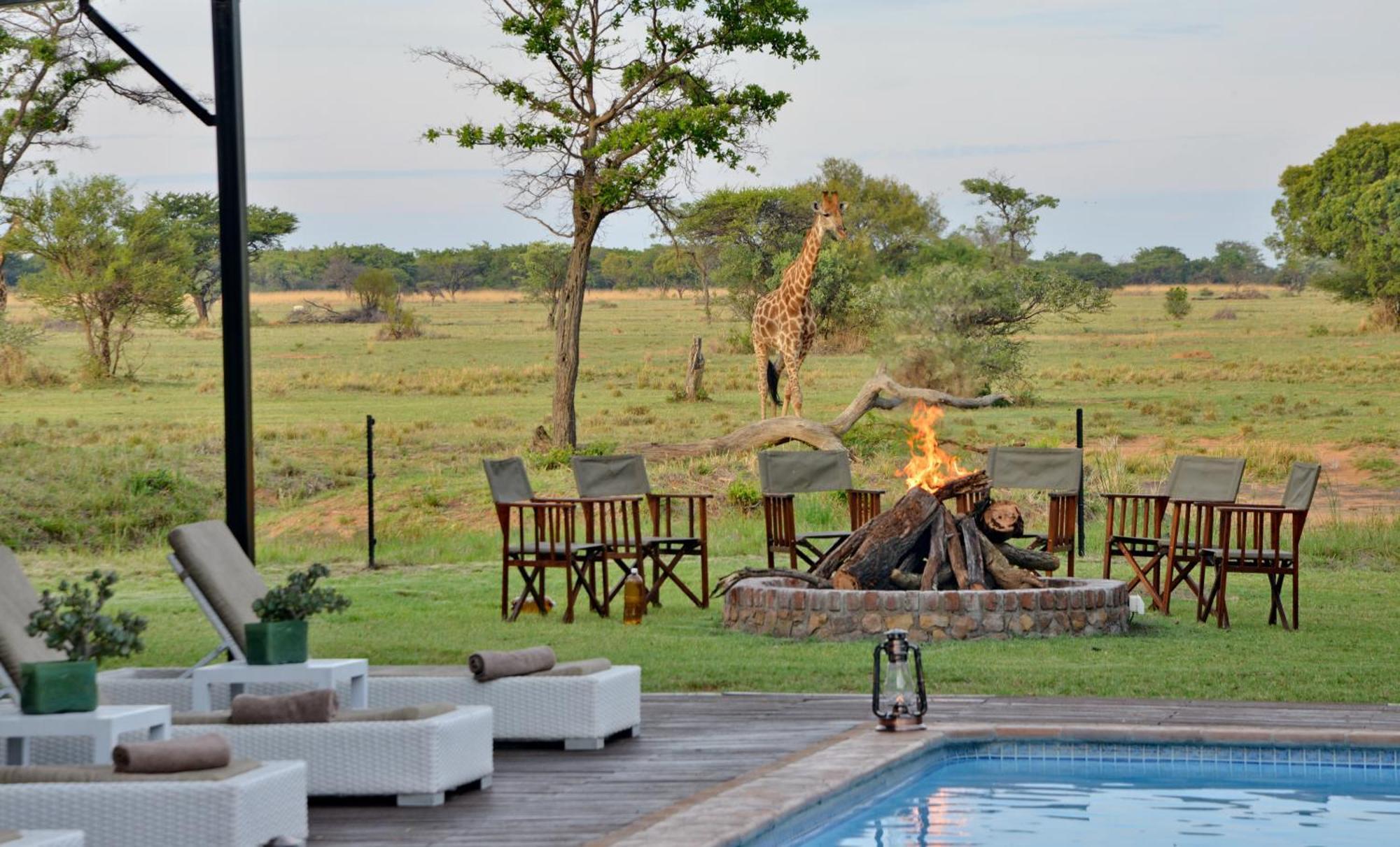 Vila Safari Plains Mabula Game Reserve Exteriér fotografie
